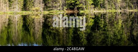 Schöner kleiner weißer See, umgeben von hohen Wäldern in british columbia Kanada. Stockfoto