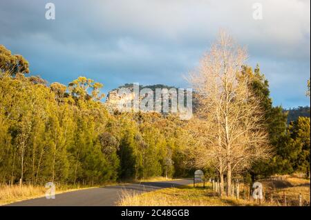 Eine ikonische Landstraße durch einen gemäßigten Wald, die zu einer Bergklippe führt, auf dem Weg nach Morpeth in New South Wales, Australien. Stockfoto