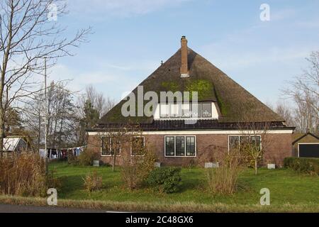 Reetgedeckte Bauernhaus von Bäumen in den Niederlanden umgeben. Die Wäsche hängt an der Wäscheleine. November, in der Nähe des Dorfes Bergen. Stockfoto