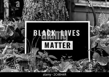 Graustufenaufnahme eines Schildes neben einem Baumstamm, der Liest „Black Lives Matter“ Stockfoto