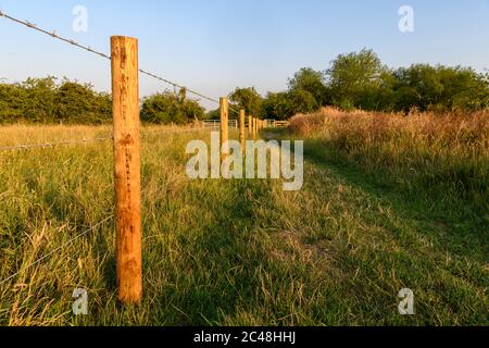 Stacheldraht Zaun Landschaft in England Stockfoto