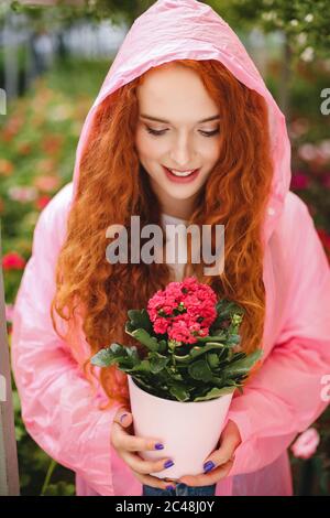 Junge lächelnde Dame mit rothaarigen lockigen Haaren, die in rosa Regenmantel steht und schöne Blume im Topf hält, während sie Zeit im Gewächshaus verbringt Stockfoto