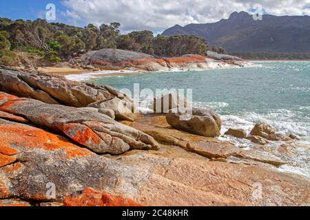 Hosen zeigen auf Flinders Island Stockfoto