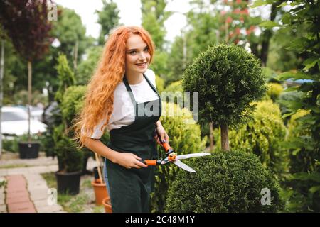 Hübsche lächelnde Gärtnerin mit rothaarigen lockigen Haaren, die in der Schürze stehen und große Gartenscheren halten, während sie fröhlich in der Kamera im Freien schaut Stockfoto