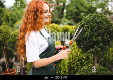 Schöne lächelnde Dame mit rothaarigen Locken, die in der Schürze steht und große Gartenschere hält, während sie draußen arbeitet Stockfoto