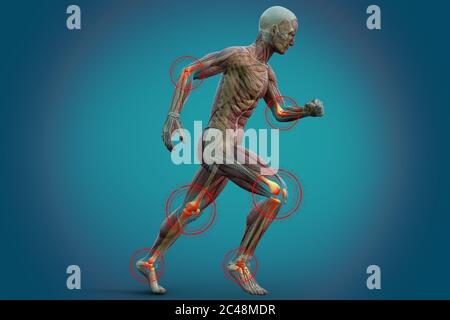 Gelenkschmerzen beim Menschen, anatomische Sicht. 3d-Illustration. Stockfoto