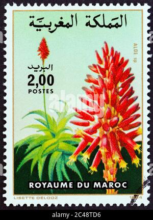 MAROKKO - UM 1984: Eine in Marokko gedruckte Marke aus der 'Blumen'-Ausgabe zeigt Aloe sp., um 1984. Stockfoto