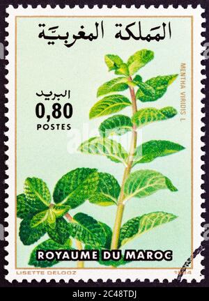 MAROKKO - UM 1984: Eine in Marokko gedruckte Marke aus der 'Blumen'-Ausgabe zeigt Mentha viridis, um 1984 Stockfoto