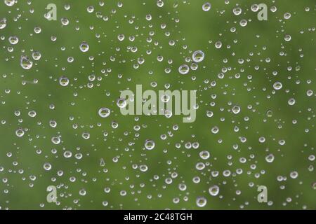 Regen fällt am Fenster vor einer grünen Landschaft Stockfoto