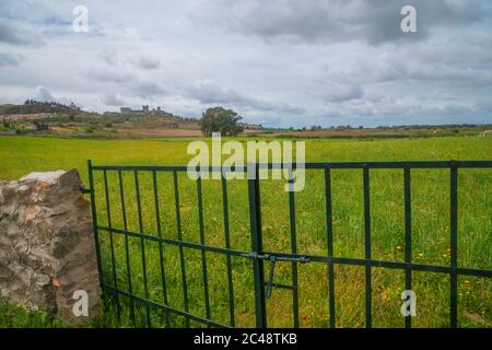 Feld und Übersicht. Oropesa, Provinz Toledo, Castilla La Mancha, Spanien. Stockfoto