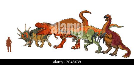 Set mit 4 Dinosauriern. Vergleich zwischen Dinosauriern und Menschen. Tyrannosaurus rex, Styracosaurus, Allosaurus und Therizinosaurus. Stockfoto