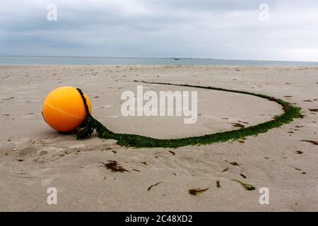 Gelbe Markierungsboje mit Schleppseil, das mit grünen Algen bedeckt ist, die in einer Kurve auf dem Strandsand in einer niedrigen Winkelansicht weglaufen Stockfoto