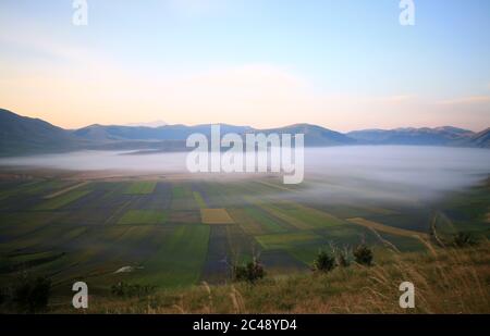 Blick auf den Pian Grande di Castelluccio di Norcia und seine Blüte Stockfoto