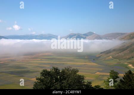 Blick auf den Pian Grande di Castelluccio di Norcia und seine Blüte Stockfoto