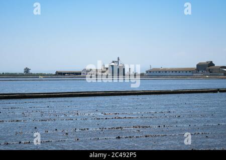 Landschaft von Reisfeldern in der Nähe der Lagune von Valencia, Spanien. Frisch gepflanzte Reisfelder. Stockfoto