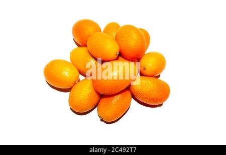 Haufen von Kumquats Zitrus isoliert auf weißem Hintergrund. Draufsicht. Viele frische Cumquats Stockfoto