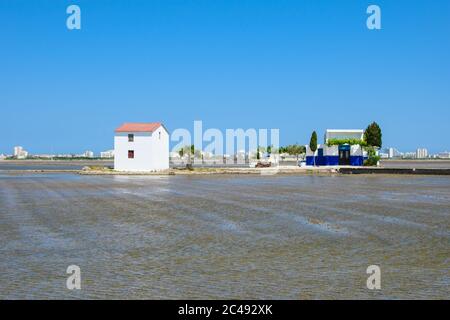 Landschaft von Reisfeldern in der Nähe der Lagune von Valencia, Spanien. Frisch gepflanzte Reisfelder. Stockfoto