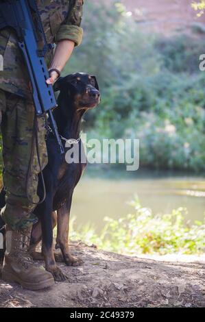 Vertikale Aufnahme eines Dobermann und eines Soldaten mit einem Pistole steht auf dem Boden unter dem Sonnenlicht Stockfoto