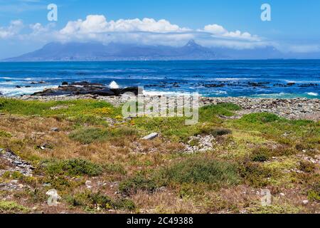 Vom felsigen Ufer der Robben Island zu einer weit entfernten Wolke bedeckten Kapstadt und Tafelberg Stockfoto