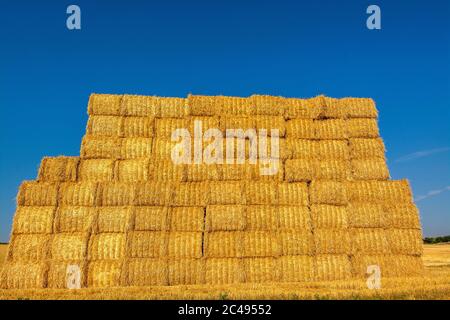 Strohwand in Limagne, Puy de Dome, Auvergne-Rhone-Alpes. Frankreich Stockfoto