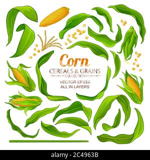 Maiselemente-Set Stock Vektor