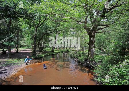 Mann mit Hund in einem Waldstrom Stockfoto