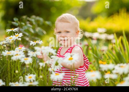 Baby Mädchen lächelt im Sommerkleid zu Fuß außerhalb zwischen Gänseblümchen im Garten Stockfoto