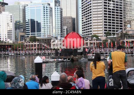 Was wie eine riesige Version des floralen Emblems von NSW aussieht, ist die Waratah (Telopea speciosissima) in Darling Harbour auf Australien zu sehen Stockfoto