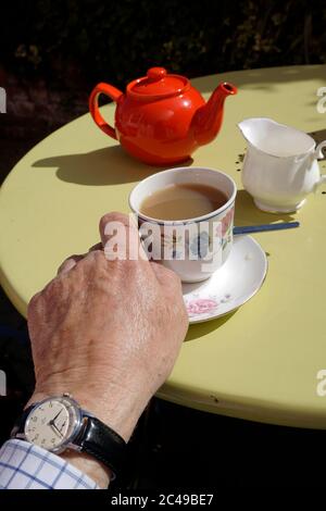 Männliche Hand greift nach einer Tasse Tee Stockfoto