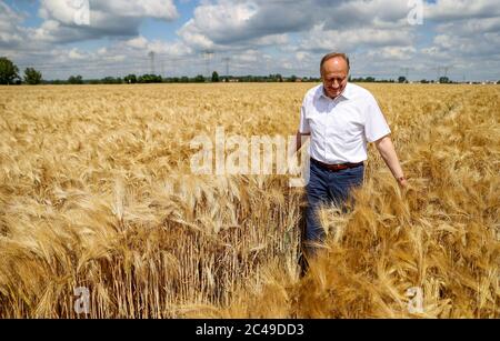 Leipzig, Deutschland. Juni 2020. Nach dem Ernteauftakt des Deutschen Bauernverbandes geht Landwirt-Präsident Joachim Rukwied durch ein Gerstenfeld. Für deutsche Landwirte begann das Jahr 2020 sehr schlecht - erst Dürre und Spätfrost und dann die Coronapandemie störte die Märkte völlig. Die Getreideernte hingegen könnte einen kleinen Grund zur Hoffnung geben. Bei Getreide sollten die Erntemengen knapp 18 Prozent höher sein als 2018. Quelle: Jan Woitas/dpa-Zentralbild/dpa/Alamy Live News Stockfoto