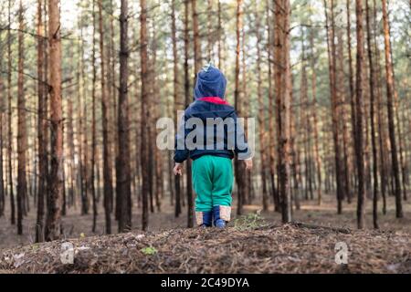 Niedlich liebenswert kaukasischen einsamen Kleinkind Baby Junge allein auf Hügel während des Spaziergangs im Herbst Nadelhölzer am Tag Zeit stehen. Kind im Wald verloren