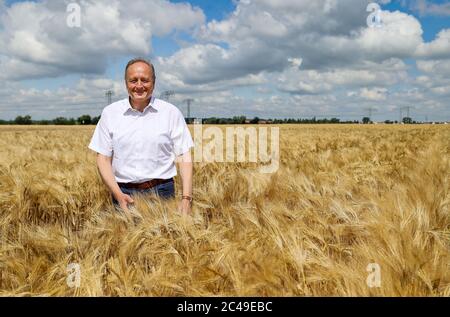 Leipzig, Deutschland. Juni 2020. Nach dem Ernteauftakt des Deutschen Bauernverbandes steht Landwirt-Präsident Joachim Rukwied auf einem Gerstenfeld. Für deutsche Landwirte begann das Jahr 2020 sehr schlecht - erst Dürre und Spätfrost und dann die Coronapandemie störte die Märkte völlig. Die Getreideernte hingegen könnte einen kleinen Grund zur Hoffnung geben. Bei Getreide sollten die Erntemengen knapp 18 Prozent höher sein als 2018. Quelle: Jan Woitas/dpa-Zentralbild/dpa/Alamy Live News Stockfoto