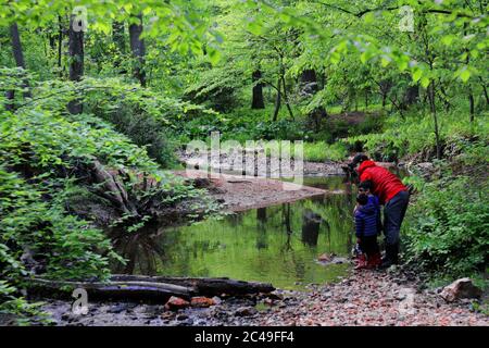 FAIRFAX COUNTY, VIRGINIA, USA - 09. Mai 2020: Ein Mann und zwei Jungen genießen die Ruhe eines Baches im Long Branch Stream Valley Park in sanftem Ende Stockfoto