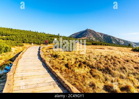 Holzpfad führt zum Snezka Berg. Riesenmounatine, Nationalpark Riesengebirge, Tschechische Republik. Stockfoto