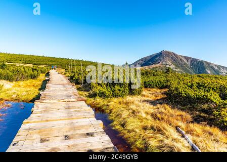 Holzpfad führt zum Snezka Berg. Riesenmounatine, Nationalpark Riesengebirge, Tschechische Republik. Stockfoto