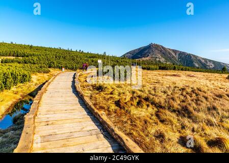 Holzpfad führt zum Snezka Berg. Riesenmounatine, Nationalpark Riesengebirge, Tschechische Republik. Stockfoto