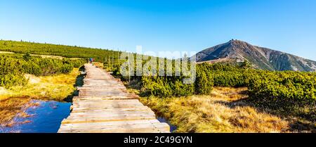 Holzpfad führt zum Snezka Berg. Riesenmounatine, Nationalpark Riesengebirge, Tschechische Republik. Stockfoto