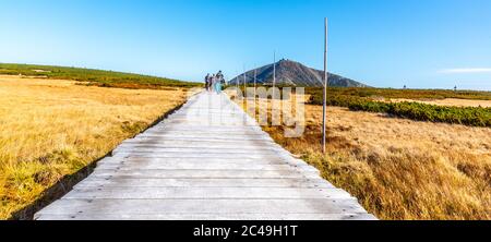 Holzpfad führt zum Snezka Berg. Riesenmounatine, Nationalpark Riesengebirge, Tschechische Republik. Stockfoto