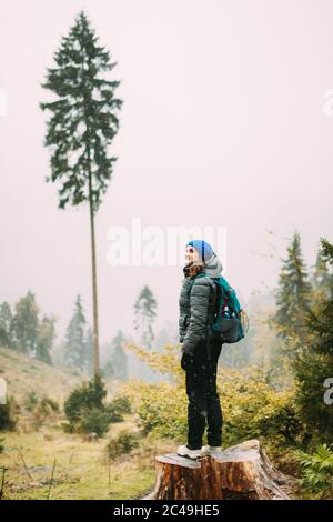 Junge Dame Auf Stump Im Wald Und Blick In Die Entfernung In Entwaldung Zone. Rückansicht Stockfoto