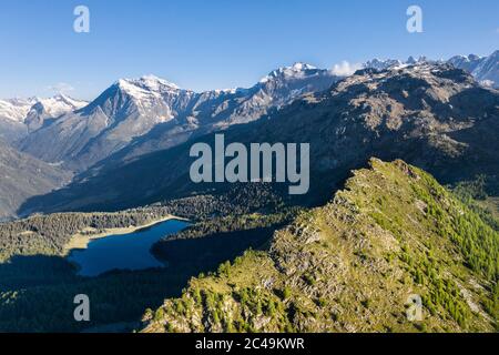 Alpenlandschaft, Panoramablick von einem Gipfel des Berges. Tal mit See und Wald im Valtellina. See Palù, Valmalenco Stockfoto