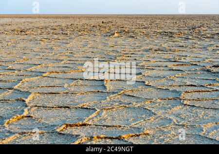 Wabenförmige Steinsalzvorkommen auf dem Assale Salt Lake, Hamadela, Danakil Depression, Afar Triangle, Äthiopien Stockfoto