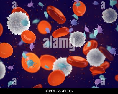 Weiße, rote Blutkörperchen und Blutplättchen / Erythrozyten, Leukozyten und Thrombozyten / Stockfoto