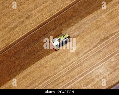 Dormagen, Deutschland. Juni 2020. Ein Landwirt nutzt einen Mähdrescher, um Wintergerste in der Nähe von Dormagen zu ernten. Das Bild wurde mit einer Drohne aufgenommen. Quelle: Henning Kaiser/dpa/Alamy Live News Stockfoto