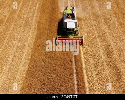 Dormagen, Deutschland. Juni 2020. Ein Landwirt nutzt einen Mähdrescher, um Wintergerste in der Nähe von Dormagen zu ernten. Das Bild wurde mit einer Drohne aufgenommen. Quelle: Henning Kaiser/dpa/Alamy Live News Stockfoto