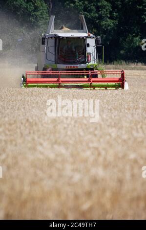 Dormagen, Deutschland. Juni 2020. Ein Landwirt nutzt einen Mähdrescher, um Wintergerste in der Nähe von Dormagen zu ernten. Quelle: Henning Kaiser/dpa/Alamy Live News Stockfoto