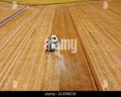 Dormagen, Deutschland. Juni 2020. Ein Landwirt nutzt einen Mähdrescher, um Wintergerste in der Nähe von Dormagen zu ernten. Quelle: Henning Kaiser/dpa/Alamy Live News Stockfoto