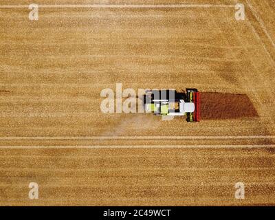 Dormagen, Deutschland. Juni 2020. Ein Landwirt nutzt einen Mähdrescher, um Wintergerste in der Nähe von Dormagen zu ernten. Das Bild wurde mit einer Drohne aufgenommen. Quelle: Henning Kaiser/dpa/Alamy Live News Stockfoto