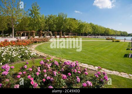 Rosengarten neben dem Strand von Balatonfüred, Plattensee, Ungarn Stockfoto