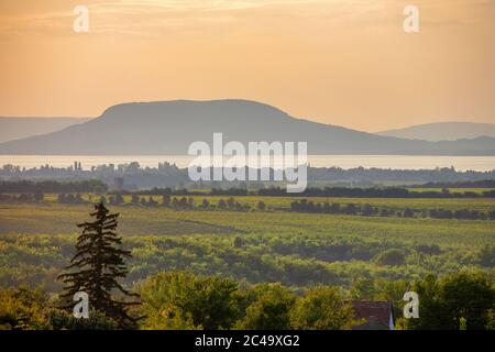 Der Badacsony Berg mit Plattensee und Weingärten bei Sonnenuntergang in Ungarn Stockfoto