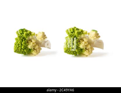 Raupe kriecht auf römischem Blumenkohl. Zwei römische Blumenkohl in der Nähe. Fraktale Textur von romanesco Brokkoli. Römischer Blumenkohl mit Kopierraum fo Stockfoto